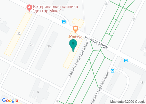 Салон-парикмахерская «Кактус» на карте Салон-парикмахерская «Кактус» на карте