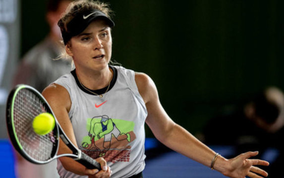 Почетная харьковчанка поедет воплощать свою мечту на US Open Почетная харьковчанка поедет воплощать свою мечту на US Open