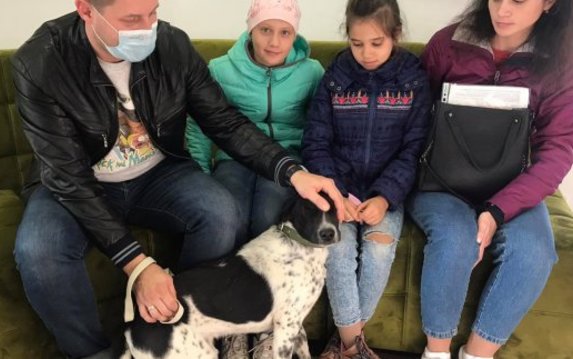 Более двух тысяч животных из городского приюта нашли хозяев Более двух тысяч животных из городского приюта нашли хозяев
