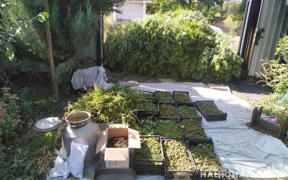 На Харьковщине работники полиции изъяли у крестьян около 40 кг наркозелья На Харьковщине работники полиции изъяли у крестьян около 40 кг наркозелья