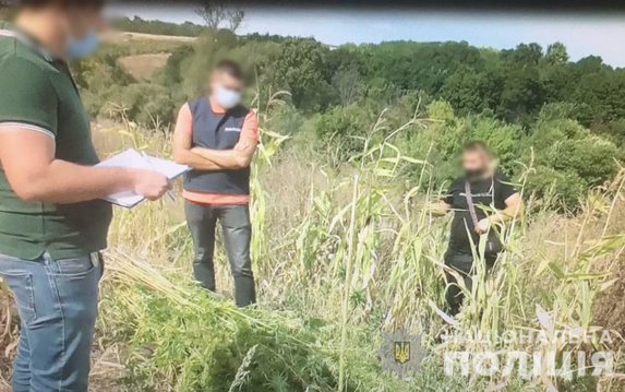 На Харьковщине следователи сообщили о подозрении мужчине, который выращивал наркорастения по месту жительства На Харьковщине следователи сообщили о подозрении мужчине, который выращивал наркорастения по месту жительства