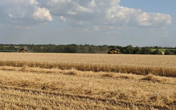 На Харьковщине собрали 2,5 млн тонн ранних зерновых На Харьковщине собрали 2,5 млн тонн ранних зерновых