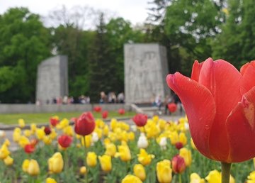 Мемориальный комплекс Славы в Лесопарке