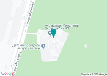 Городской детский лагерь «Чемпион» на карте