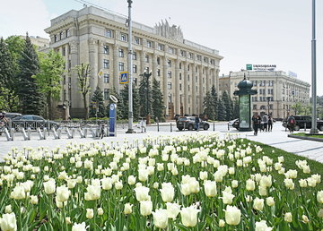 30 миллионов гривен материальной помощи получили жители Харьковщины в первом полугодии 2020-го 30 миллионов гривен материальной помощи получили жители Харьковщины в первом полугодии 2020-го