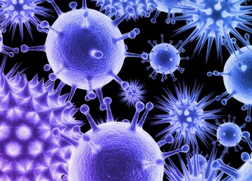 3033 случая COVID-19 зафиксировано в Харьковской области