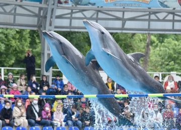 450 харьковских школьников отпраздновали День защиты детей в дельфинарии «Немо» 