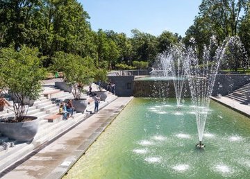 Возле озера в саду Шевченко посадили необычные деревья Возле озера в саду Шевченко посадили необычные деревья