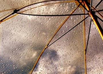 Завтра в Харькове похолодает и будет дождь