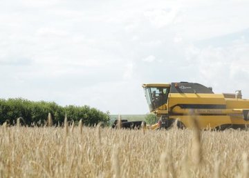Аграрии области собрали зерновые и зернобобовые культуры с 73% площадей посевов