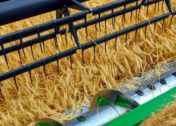 Аграрії Харківщини намолотили понад 276 тисяч тонн зерна нового врожаю