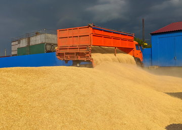 Аграрії Харківської області зібрали майже 1,3 мільйона тонн зерна