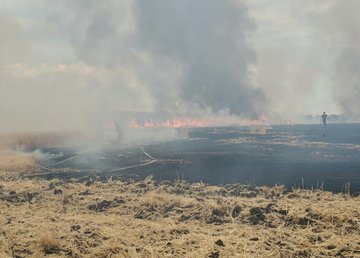 Балаклейский район: пожарными ликвидирован пожар на пшеничном поле