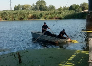 Балаклейский район: спасатели достали из воды утопленника Балаклейский район: спасатели достали из воды утопленника