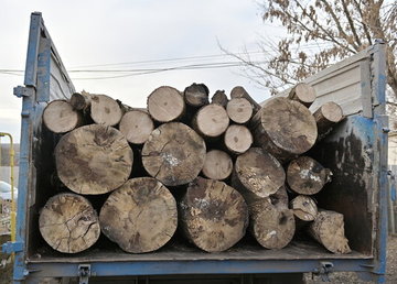 Безоплатну деревину передають жителям Харківщини