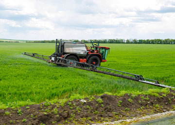 Близько 90% озимини перебуває в задовільному стані