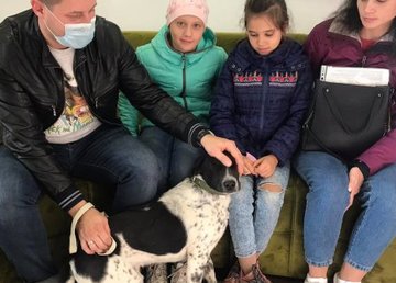 Более двух тысяч животных из городского приюта нашли хозяев  Более двух тысяч животных из городского приюта нашли хозяев