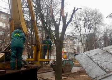 Бригады «Харьковзеленстроя» убирают поврежденные деревья 