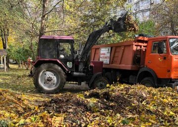 Бригады КВБО вывозят опавшие листья Бригады КВБО вывозят опавшие листья