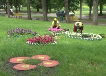 В Московском районе обустраивают тематический двор 