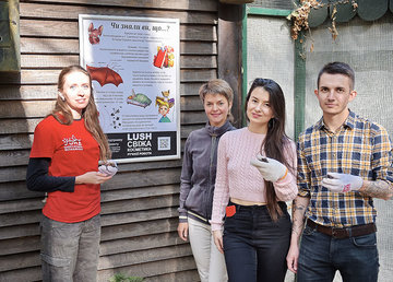 Центр реабилитации рукокрылых Фельдман Экопарк получил международный грант