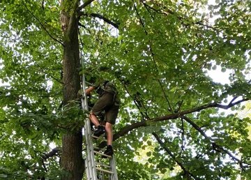 Чугуевский район: спасатели помогли подростку спуститься с высокого дерева Чугуевский район: спасатели помогли подростку спуститься с высокого дерева
