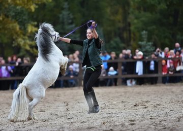 Фельдман Экопарк приглашает в воскресенье на конное шоу и спектакль зоотеатра Фельдман Экопарк приглашает в воскресенье на конное шоу и спектакль зоотеатра