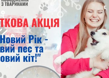 Городской приют для животных объявляет новогоднюю акцию Городской приют для животных объявляет новогоднюю акцию
