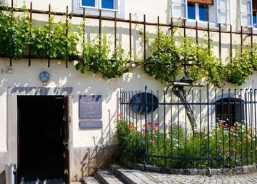 Харьков и Словения развивают сотрудничество Харьков и Словения развивают сотрудничество