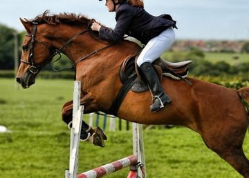 Харьков принимает международные турниры по конному спорту