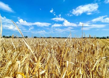 Харьковщина – среди лидеров на ринке земли