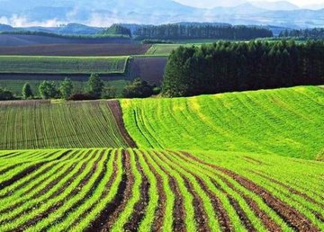 Харьковщина – в лидерах по заключению соглашений в рамках рынка земли