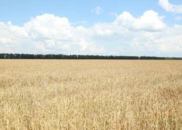 Харьковская область - в лидерах по площади земель, по которым заключены сделки