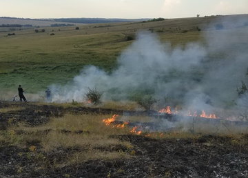 Харьковская область: за прошедшие сутки пожарные 20 раз привлекались к тушению пожаров на открытых территориях