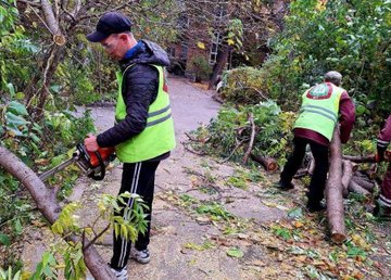 Харьковские коммунальщики вывозят упавшие деревья и ветки Харьковские коммунальщики вывозят упавшие деревья и ветки