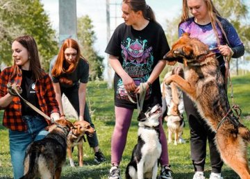 Харьковский городской приют для животных отметил 10-летие Харьковский городской приют для животных отметил 10-летие