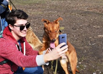 Харьковский приют для животных приглашает на День открытых дверей