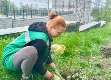 Харькову продолжают присылать в подарок саженцы цветов и деревьев  Харькову продолжают присылать в подарок саженцы цветов и деревьев