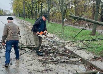 «Харьковзеленстрой» распиливает и вывозит поврежденные деревья «Харьковзеленстрой» распиливает и вывозит поврежденные деревья