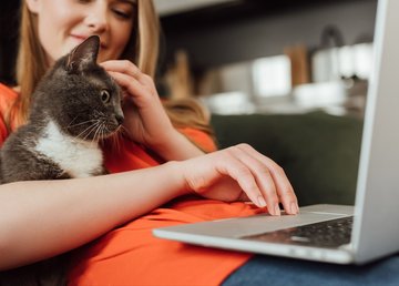 Интернет-провайдеры в Харькове: как выбрать?