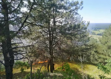 Изюмский район: пожарные оперативно потушили пожар в лесхозе