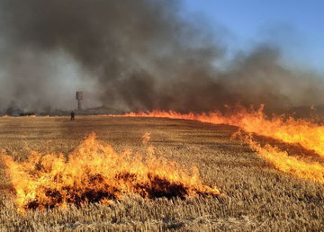 Лозовский район: спасатели не допустили распространения огня на поле Лозовский район: спасатели не допустили распространения огня на поле