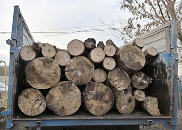 Мешканцям Харківської області видають безкоштовні дрова