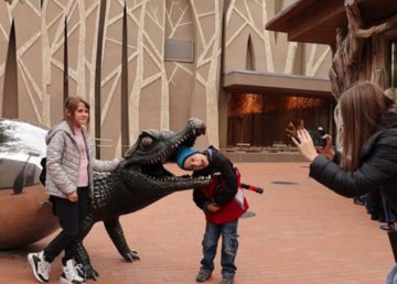 Международная неделя глухих Международная неделя глухих