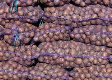 Молодежный совет получил крупную партию гуманитарной помощи Молодежный совет получил крупную партию гуманитарной помощи