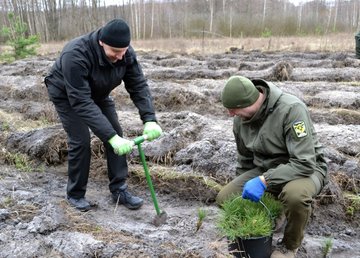 На Харківщині висаджують нові дерева за президентською програмою «Зелена країна»