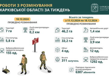 На Харківщині за тиждень виявили та знищили майже 1300 вибухонебезпечних предметів На Харківщині за тиждень виявили та знищили майже 1300 вибухонебезпечних предметів