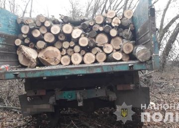 На Харьковщине полицейские изъяли незаконно срубленную древесину На Харьковщине полицейские изъяли незаконно срубленную древесину