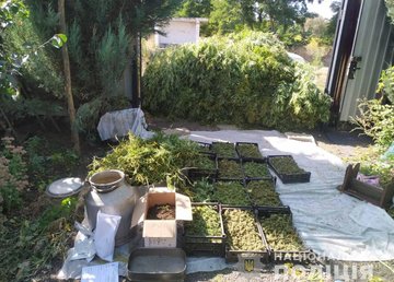На Харьковщине работники полиции изъяли у крестьян около 40 кг наркозелья На Харьковщине работники полиции изъяли у крестьян около 40 кг наркозелья