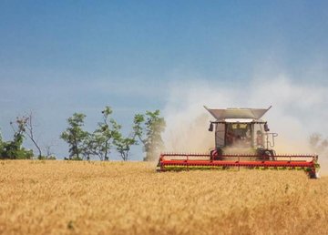 На Харьковщине собрали уже 2,7 млн тонн ранних зерновых. Айна Тимчук